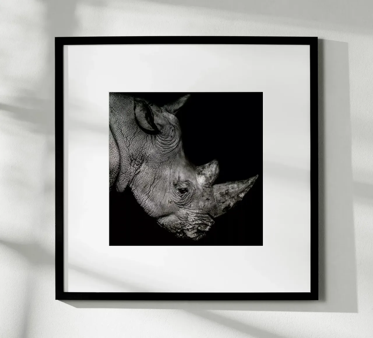 Rhino Profile by Lothare Dambreville poster da EyeEm Mobile GmbH