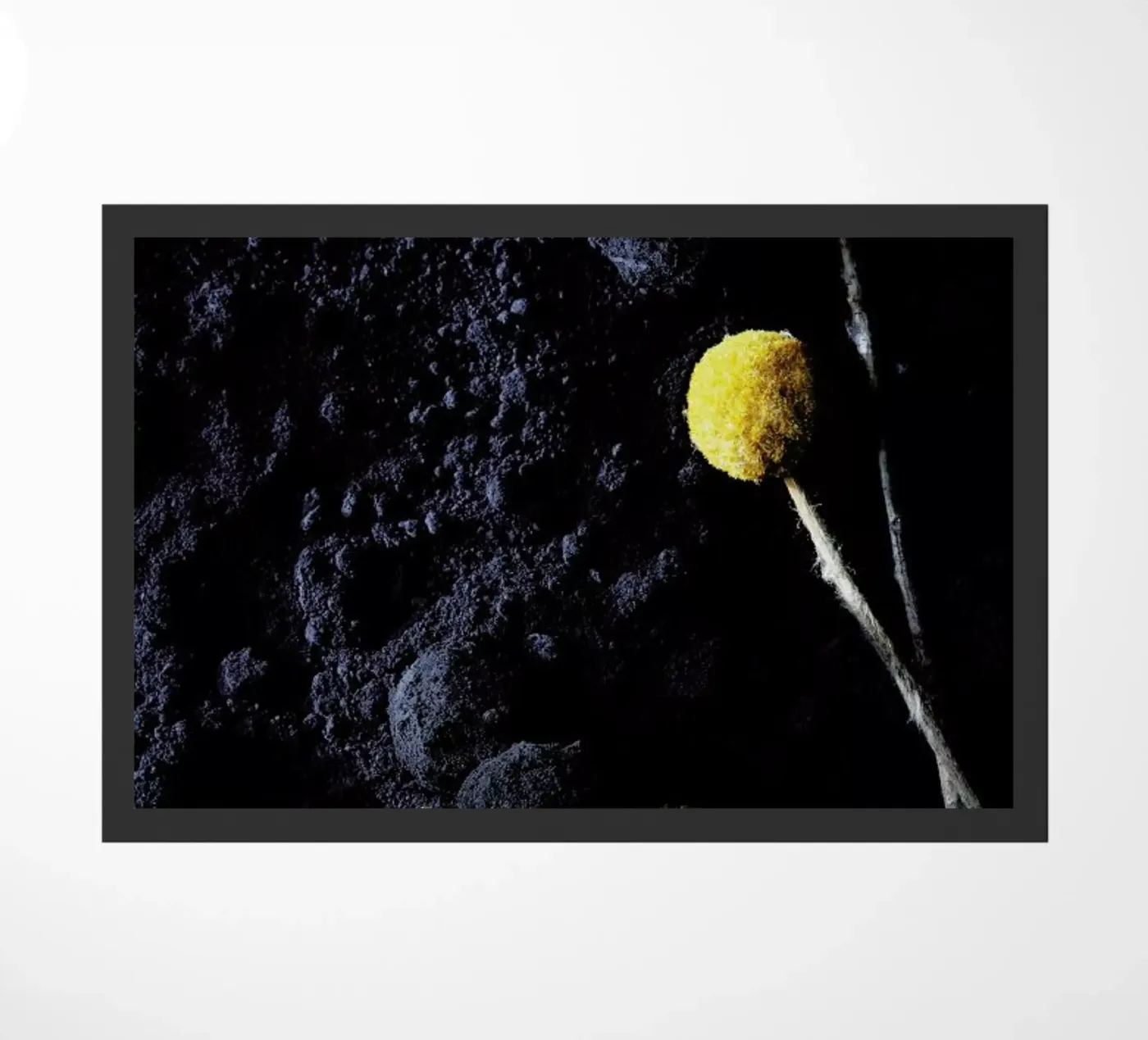 Flowers One zerbino da neon* fotografie