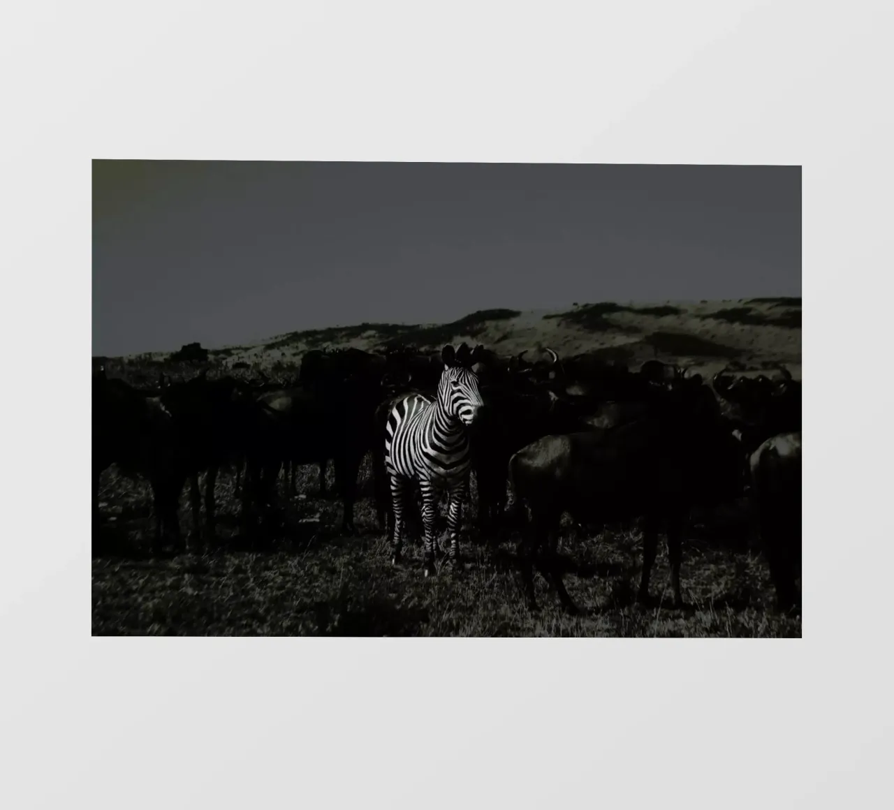 Stand out from the Crowd by Amishpatel telo in pvc da EyeEm Mobile GmbH