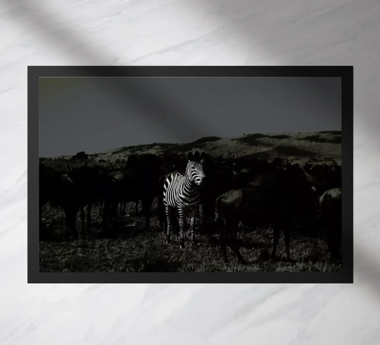 Stand out from the Crowd by Amishpatel zerbino da EyeEm Mobile GmbH