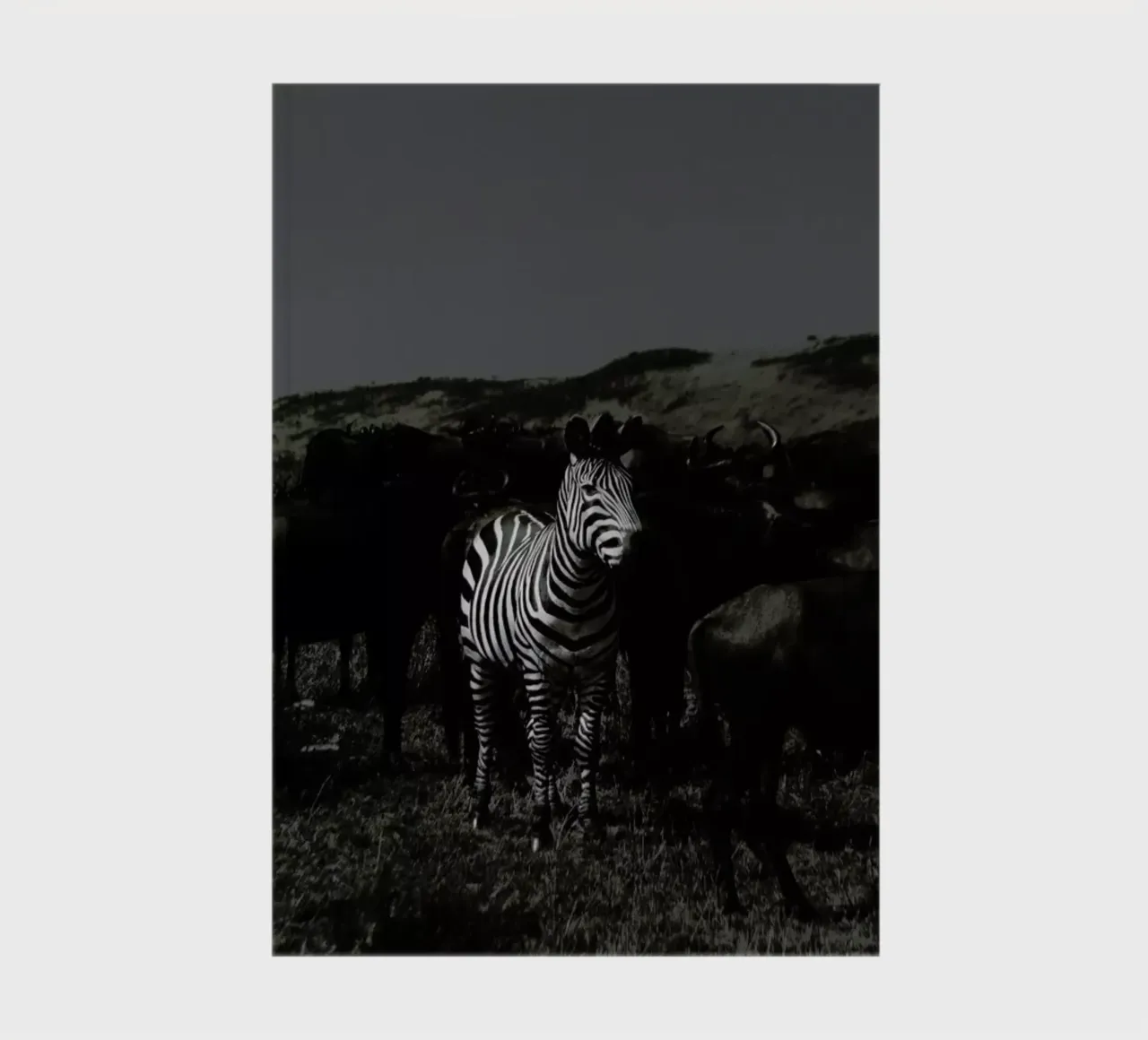 Stand out from the Crowd by Amishpatel diario da EyeEm Mobile GmbH