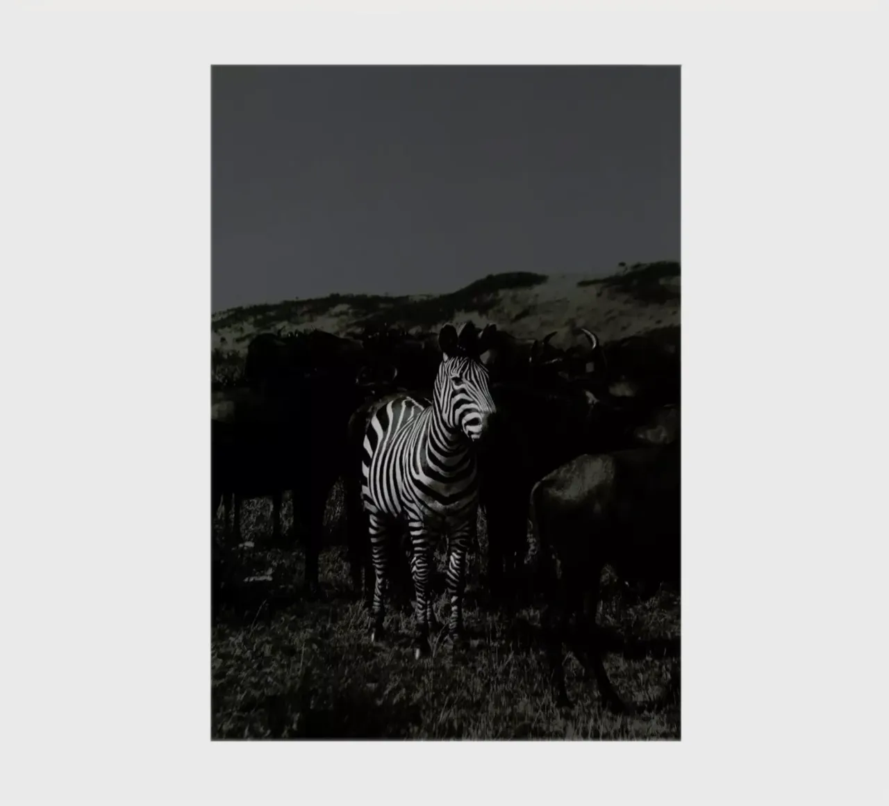 Stand out from the Crowd by Amishpatel diario da EyeEm Mobile GmbH
