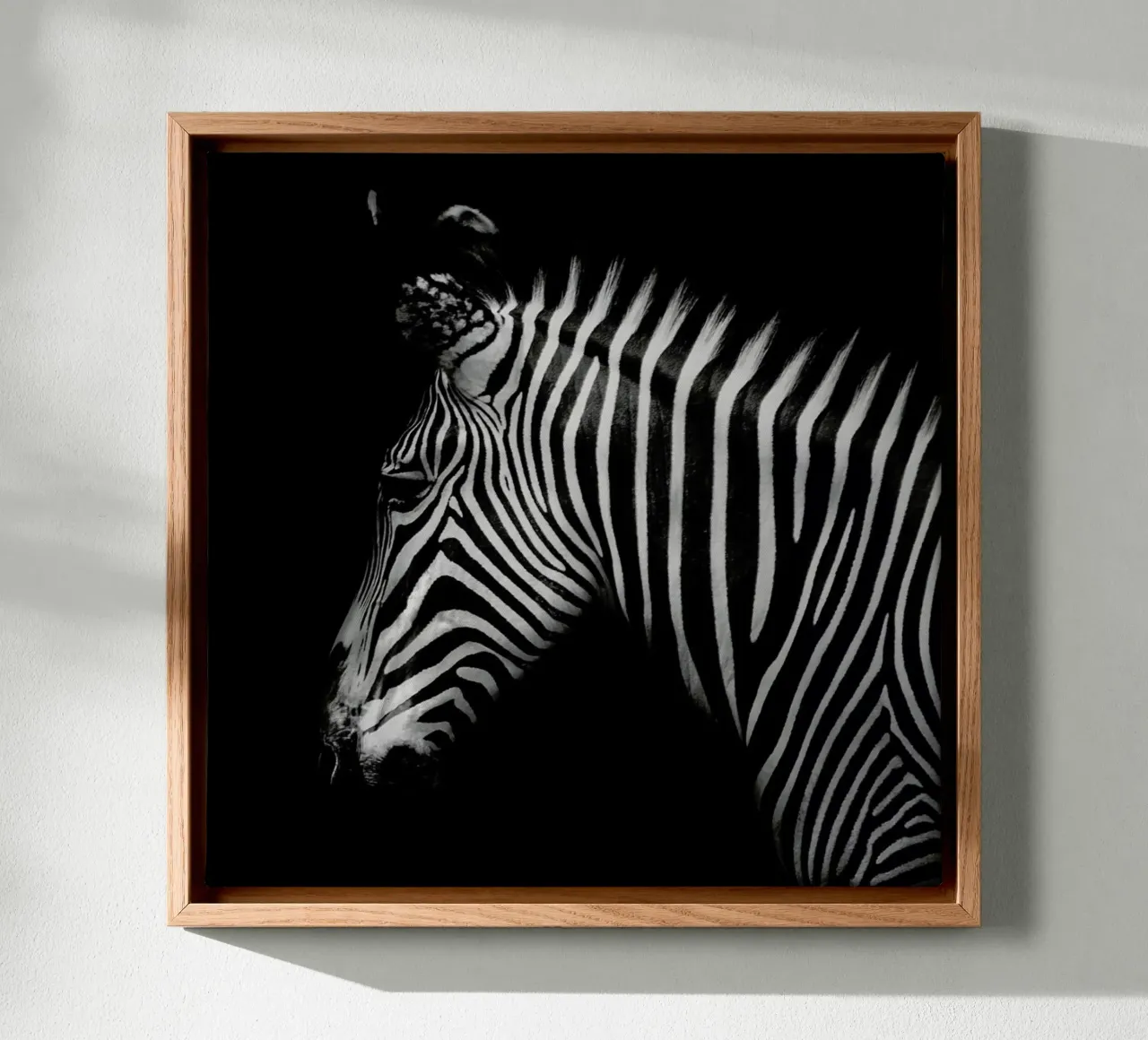 Zebra Profile by Lothare Dambreville tela con Cornice a cassetta da EyeEm Mobile GmbH