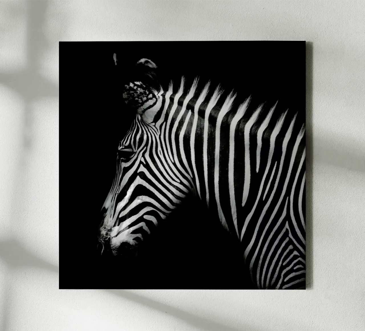 Zebra Profile by Lothare Dambreville tela con Cornice a cassetta da EyeEm Mobile GmbH
