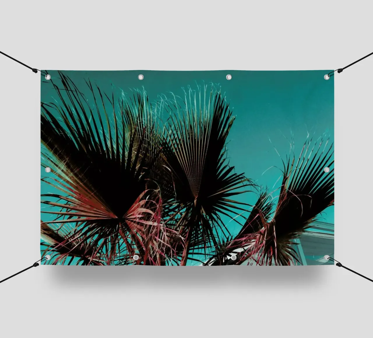 Palms IV telo in pvc da Sebastian Hilgetag