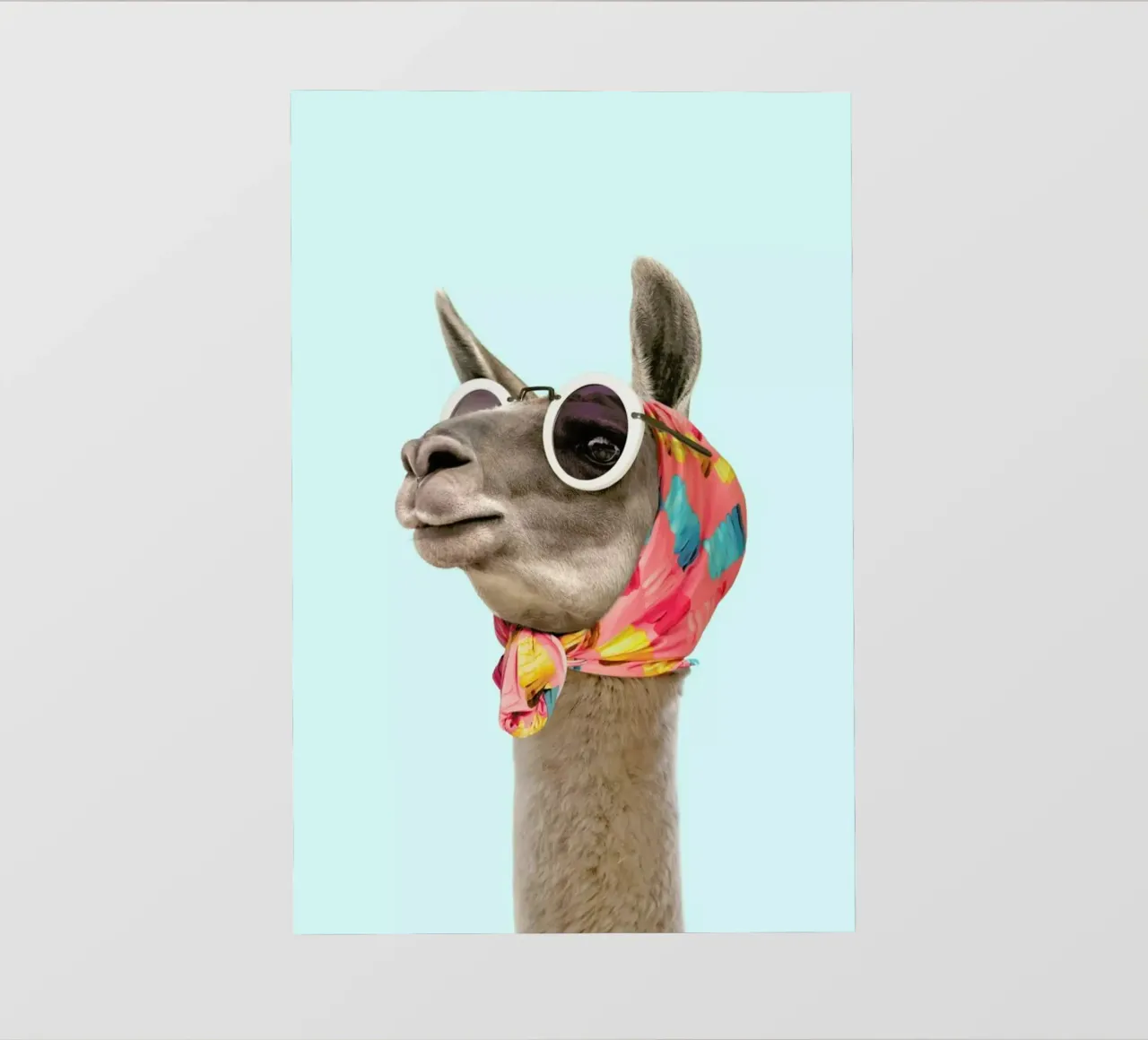 Fashion Llama backlit film by Paul Fuentes Design
