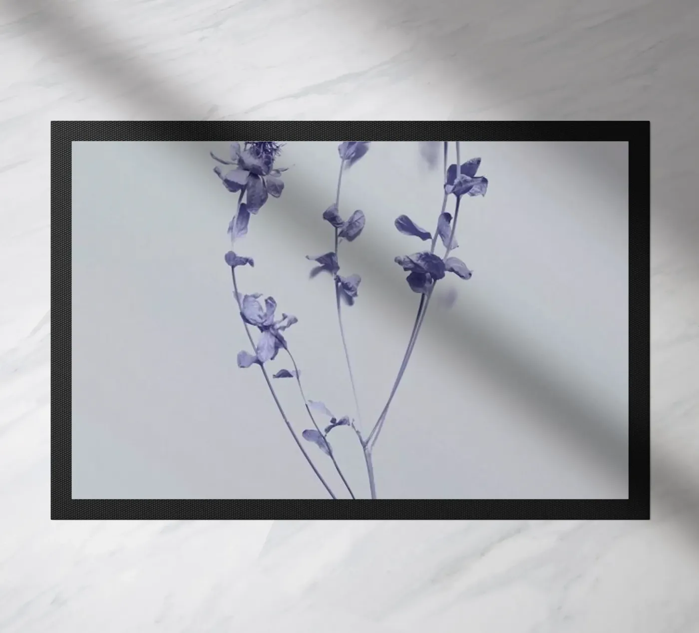 Cardoon II zerbino da Elena Veronese