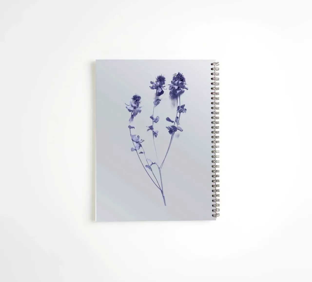 Cardoon II notitieboek met spiraal van Elena Veronese