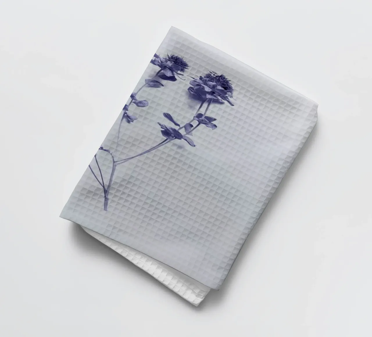Cardoon II torchon de Elena Veronese