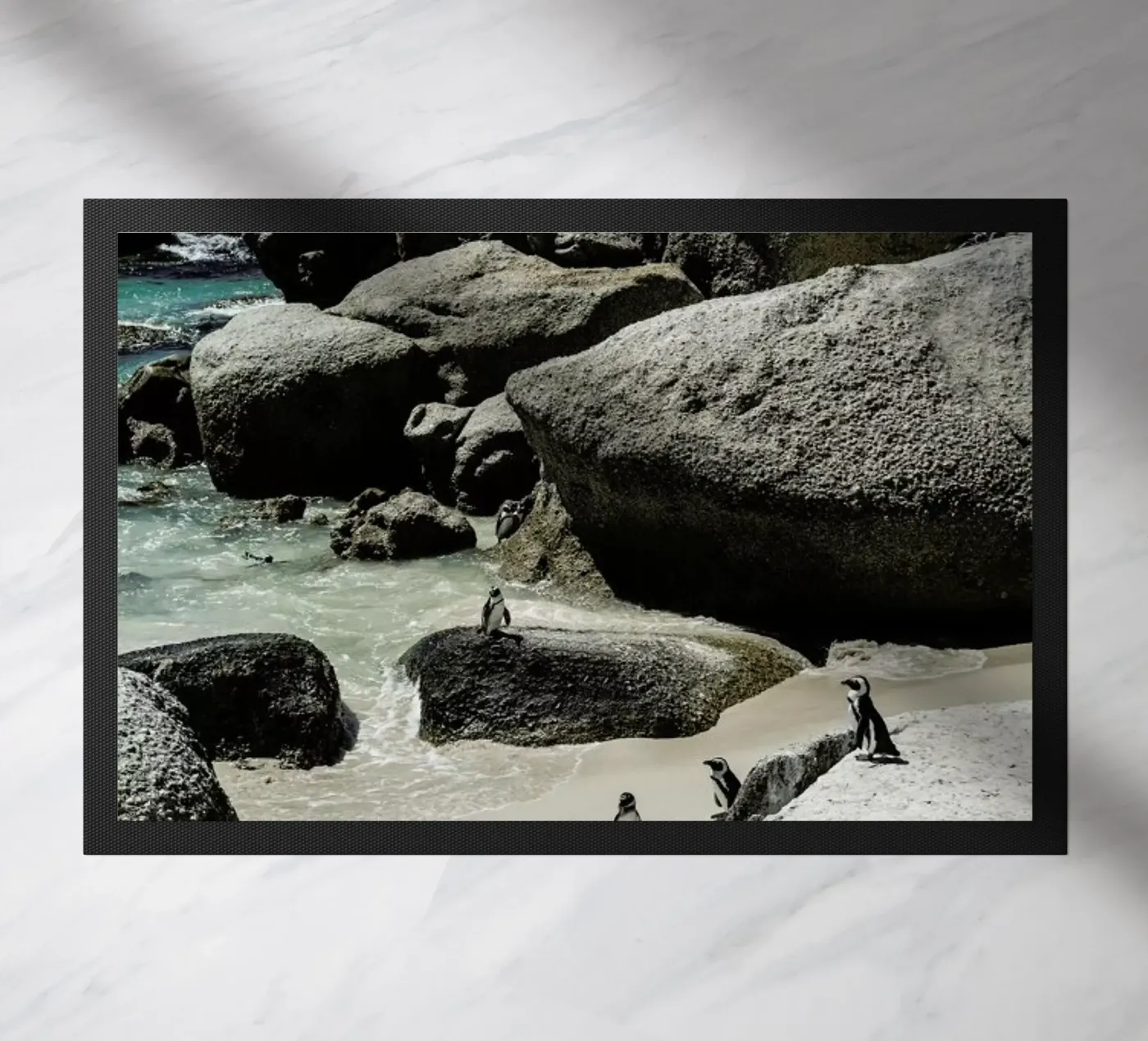 Boulders Beach zerbino da Shot By Clint
