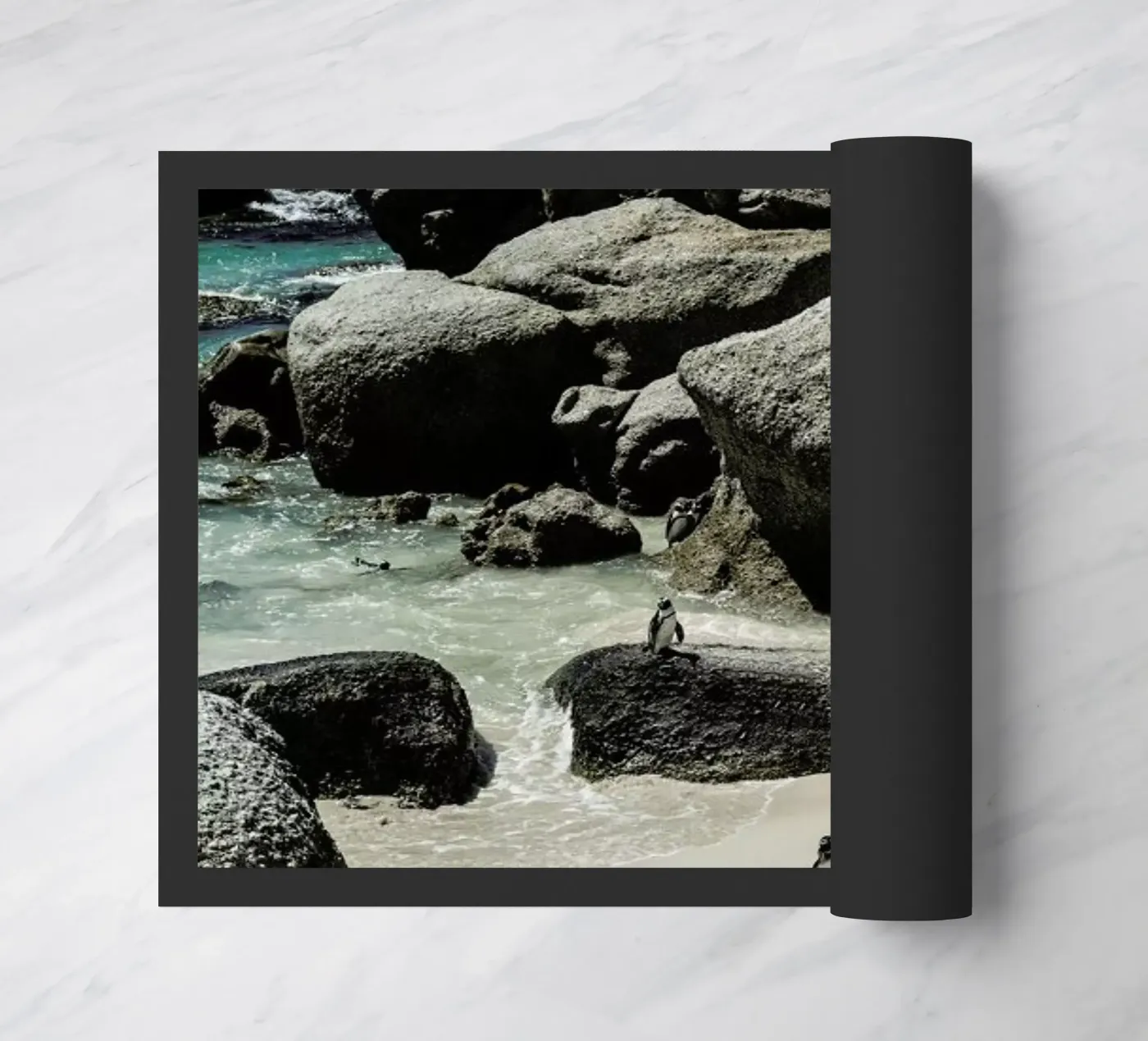 Boulders Beach zerbino da Shot By Clint
