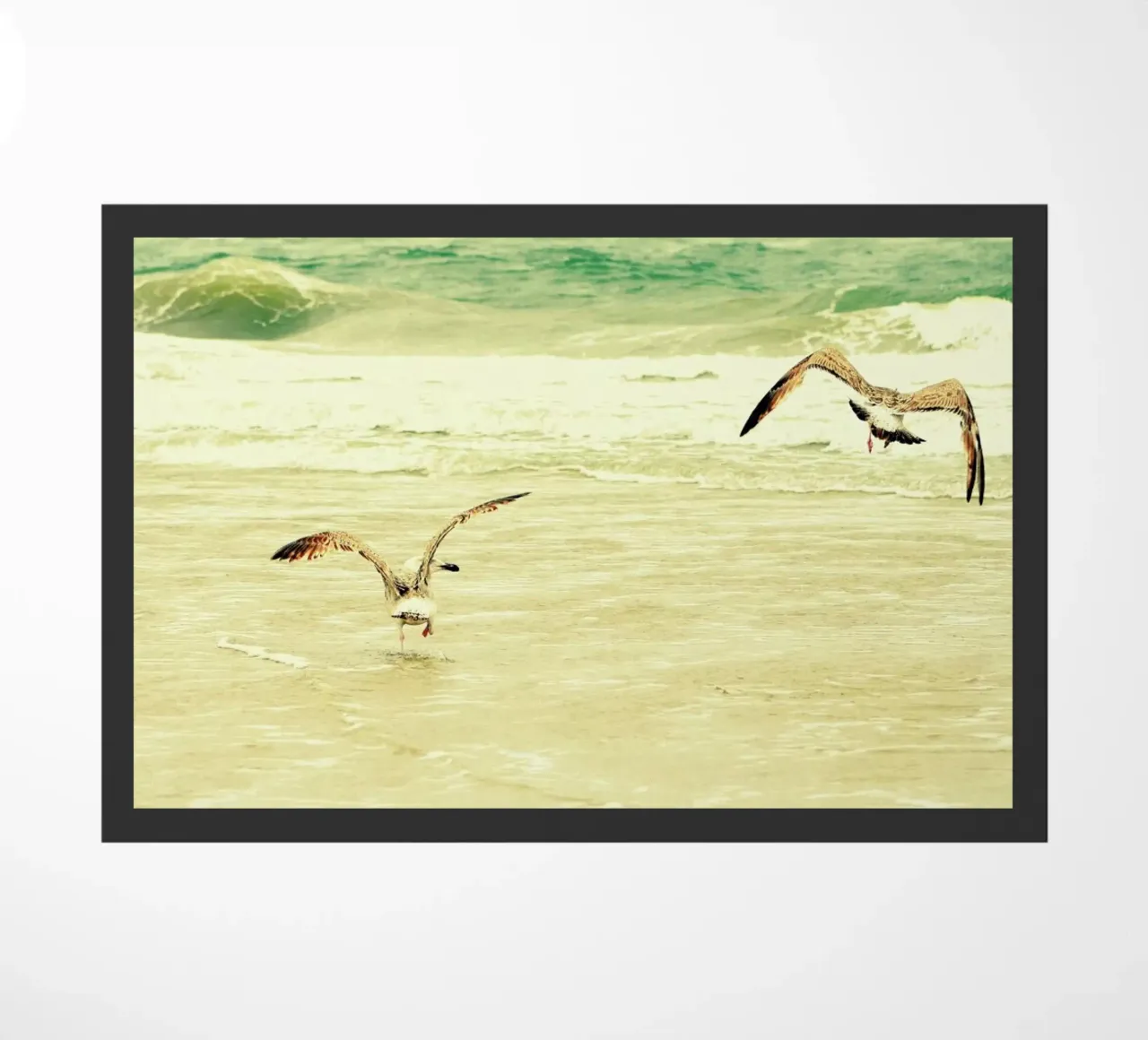 Karatekidpose zerbino da Robin Delean