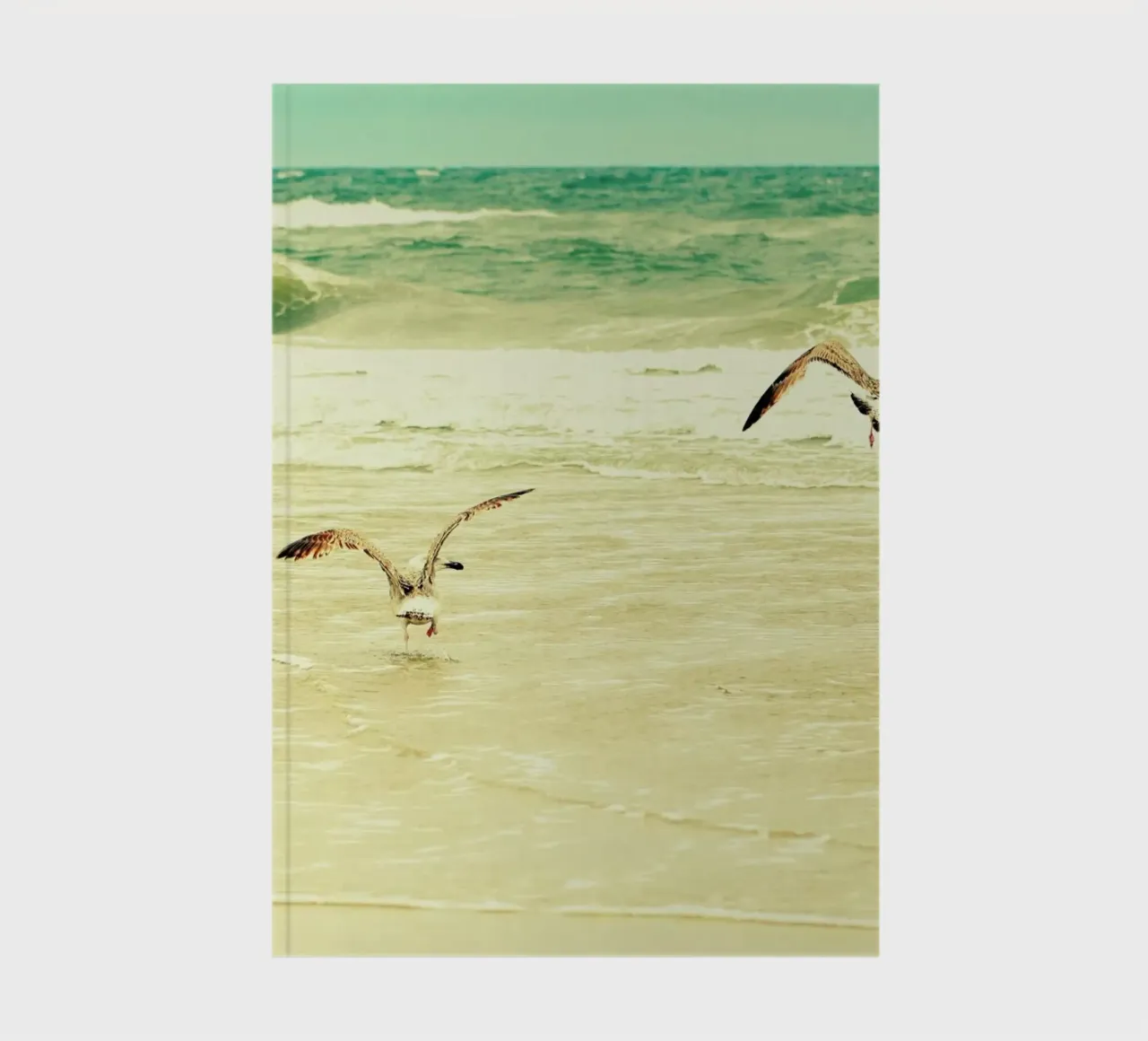 Karatekidpose notebook by Robin Delean