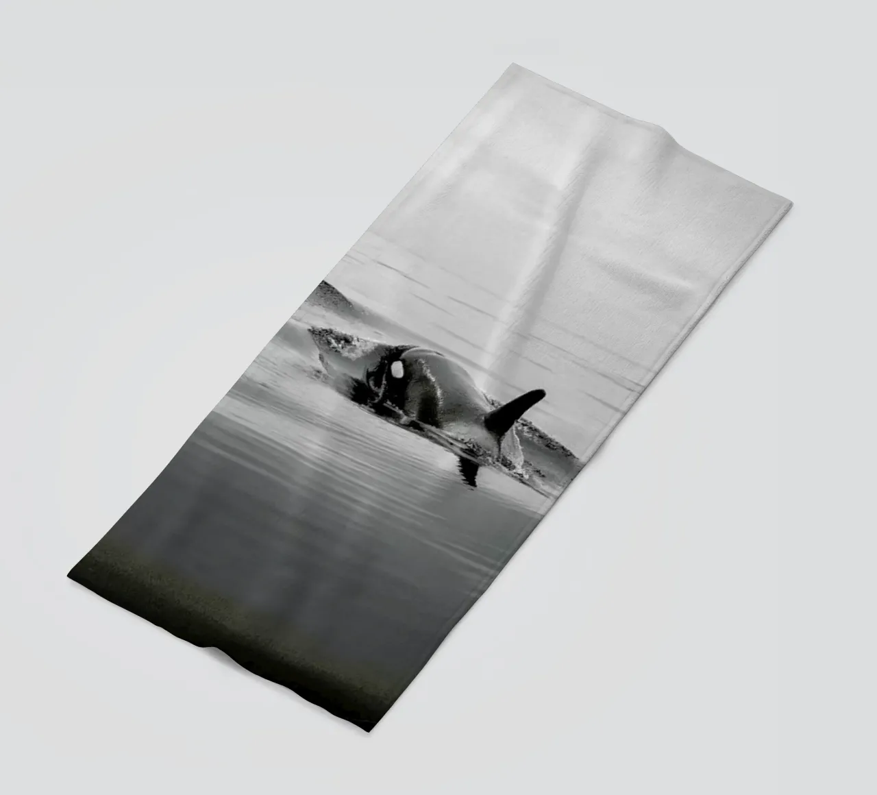 Canada 8 telo mare da Philipp Reinhard