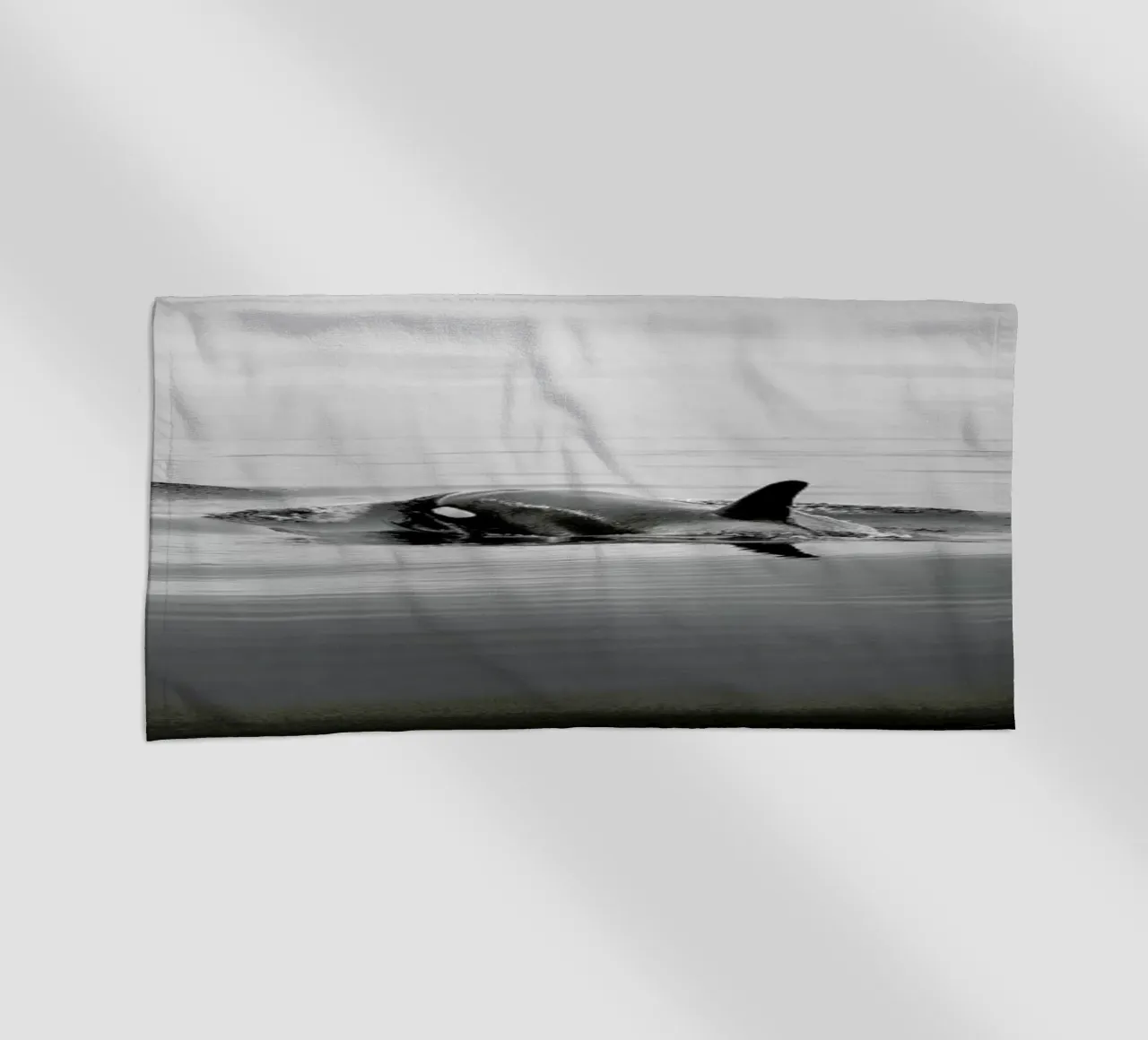 Canada 8 telo mare da Philipp Reinhard