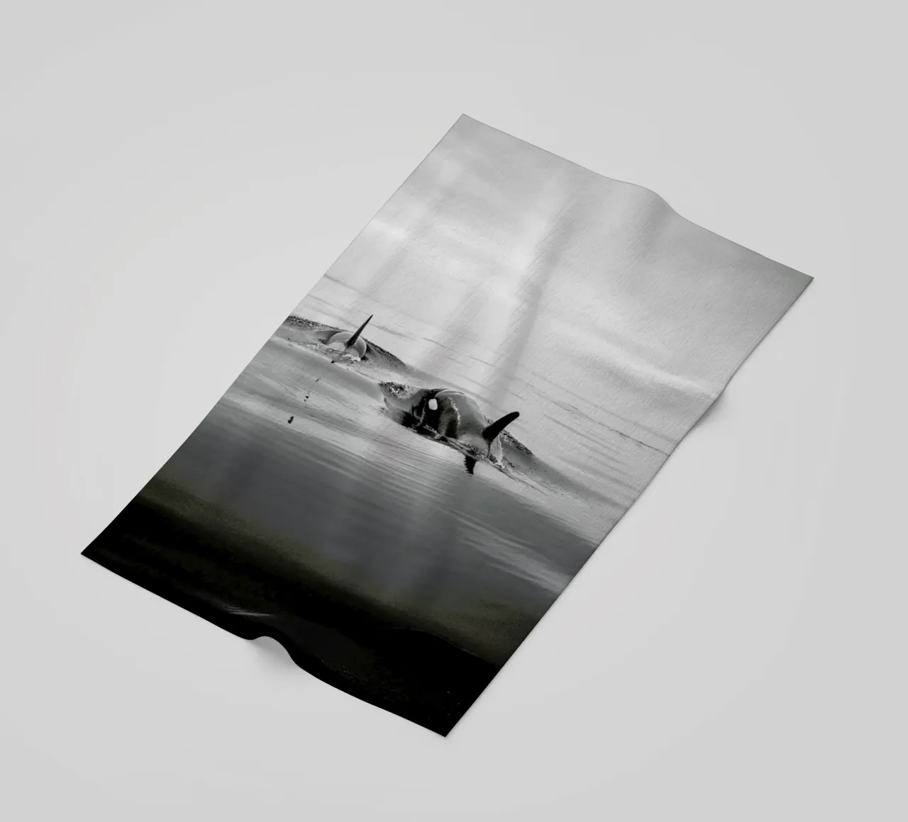 Canada 8 telo mare da Philipp Reinhard