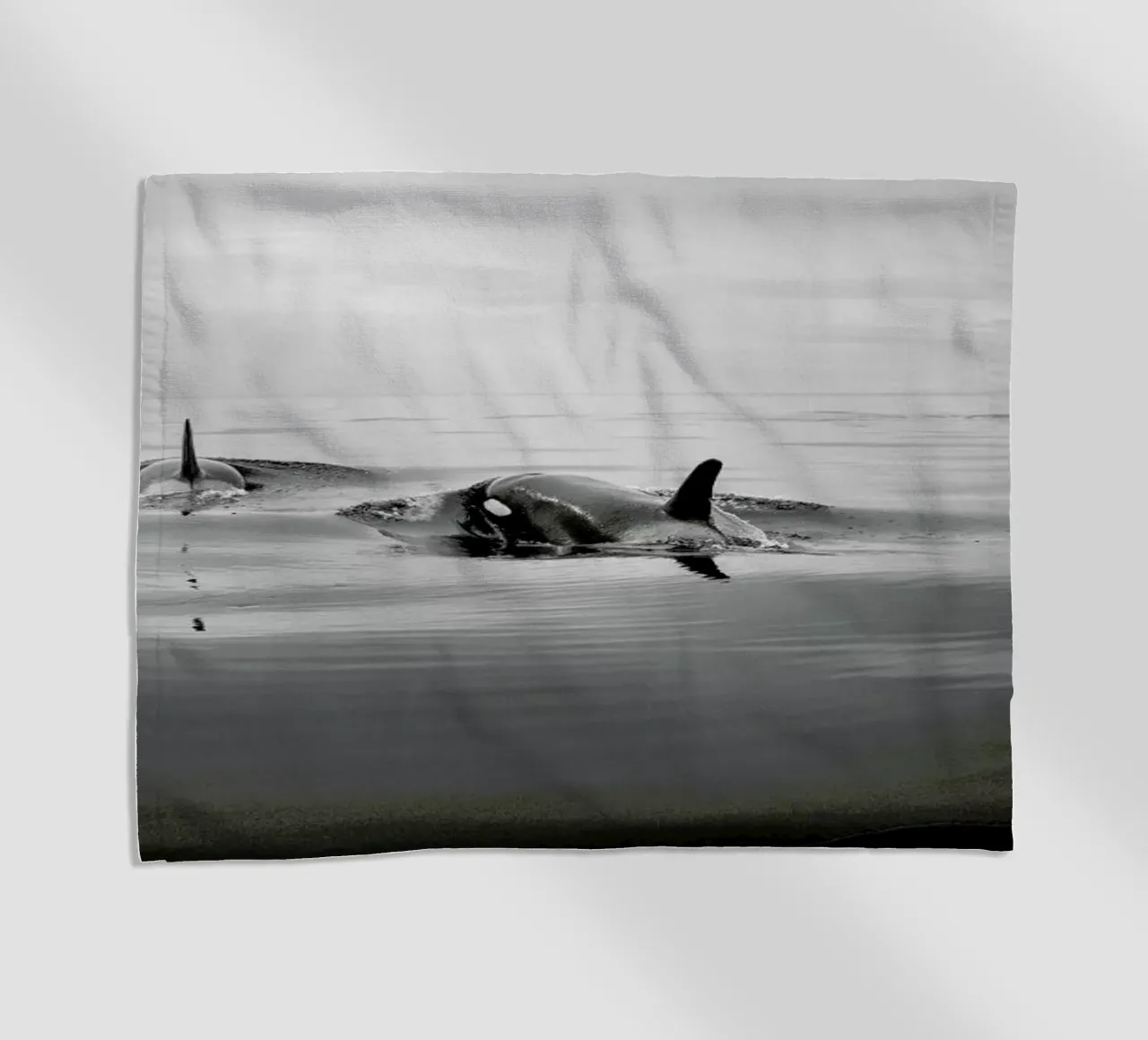 Canada 8 telo mare da Philipp Reinhard