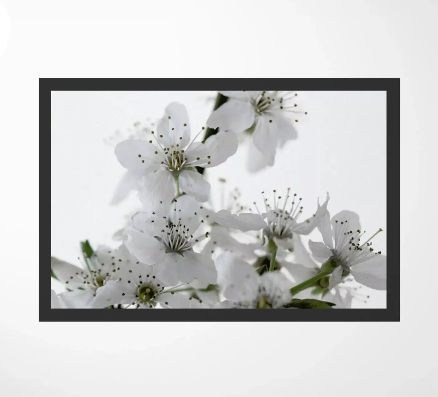 Cherry Flowers doormat by Studio Nahili