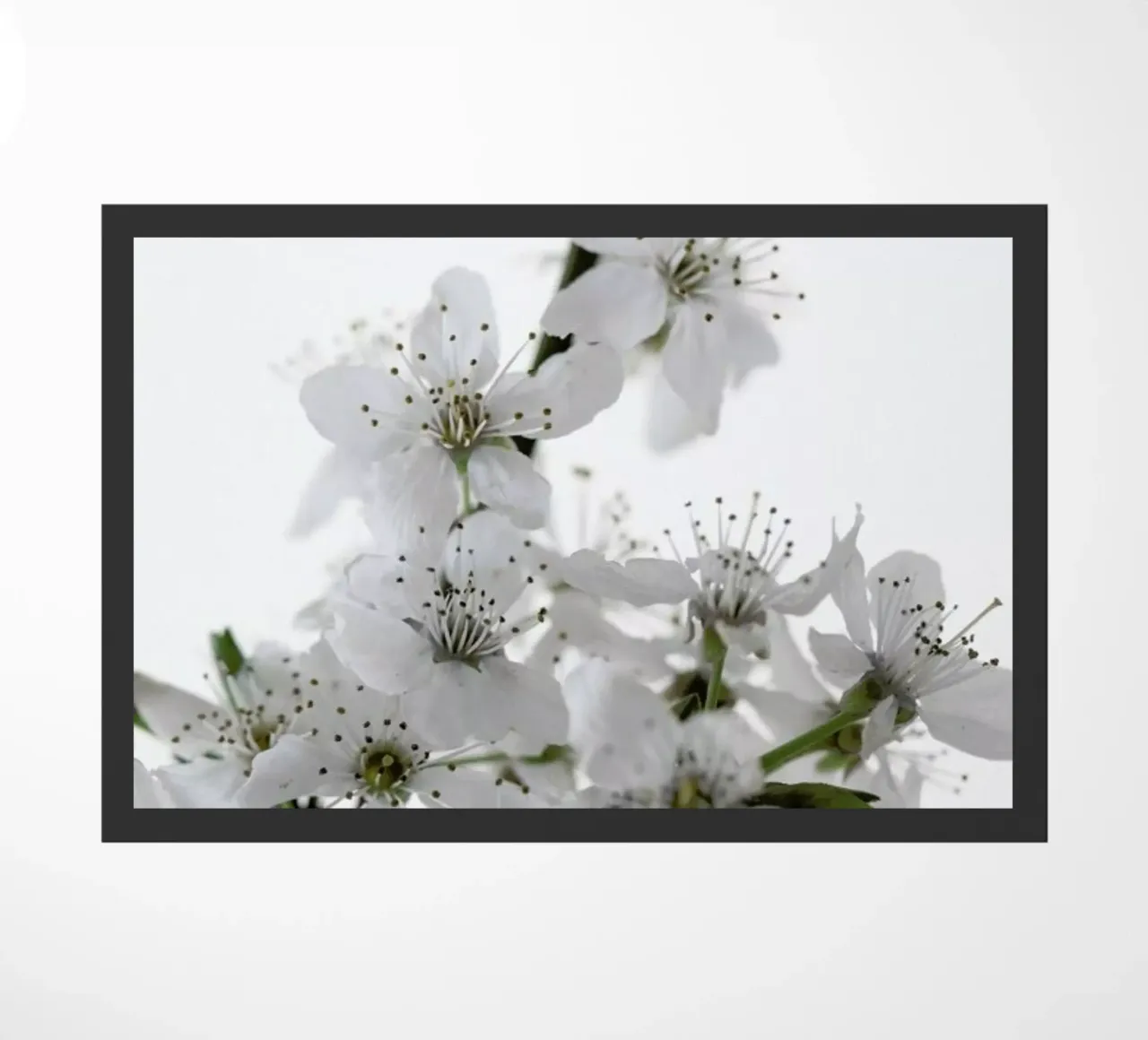 Cherry Flowers zerbino da Studio Nahili