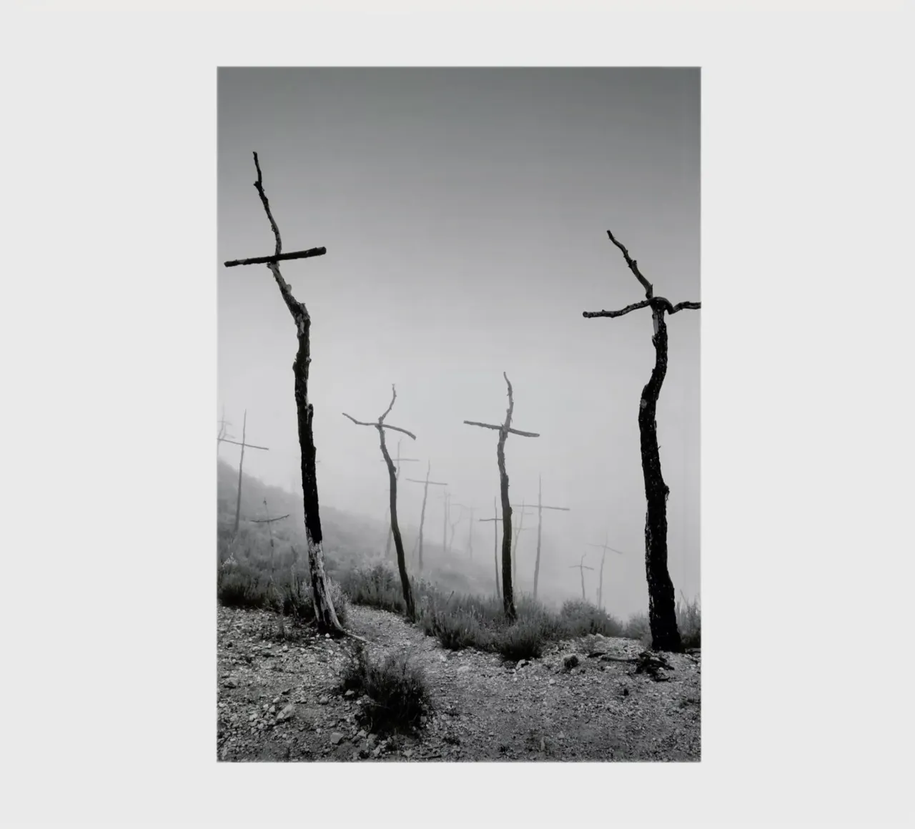 Forest of Crosses 2 diario da Håggard Photography | Ronny Behnert