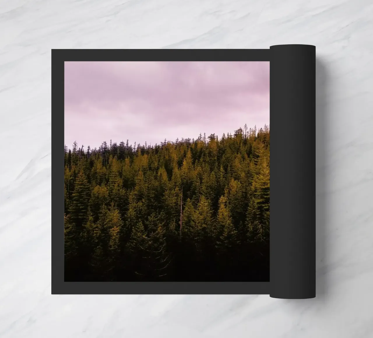 Canada 9 zerbino da Philipp Reinhard