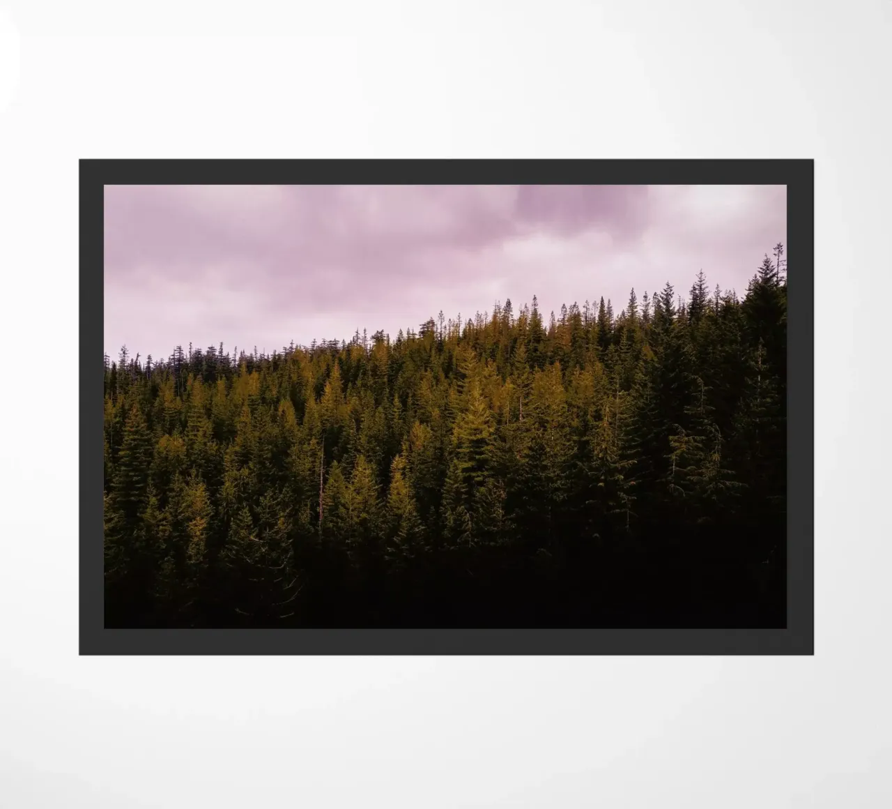 Canada 9 zerbino da Philipp Reinhard