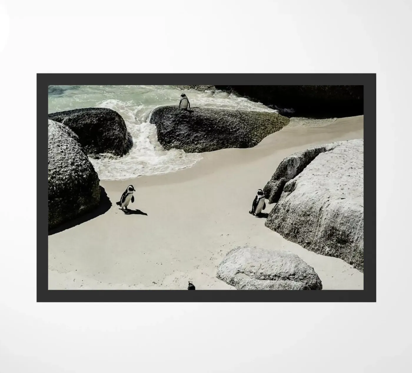 Penguins Beach doormat by Shot By Clint