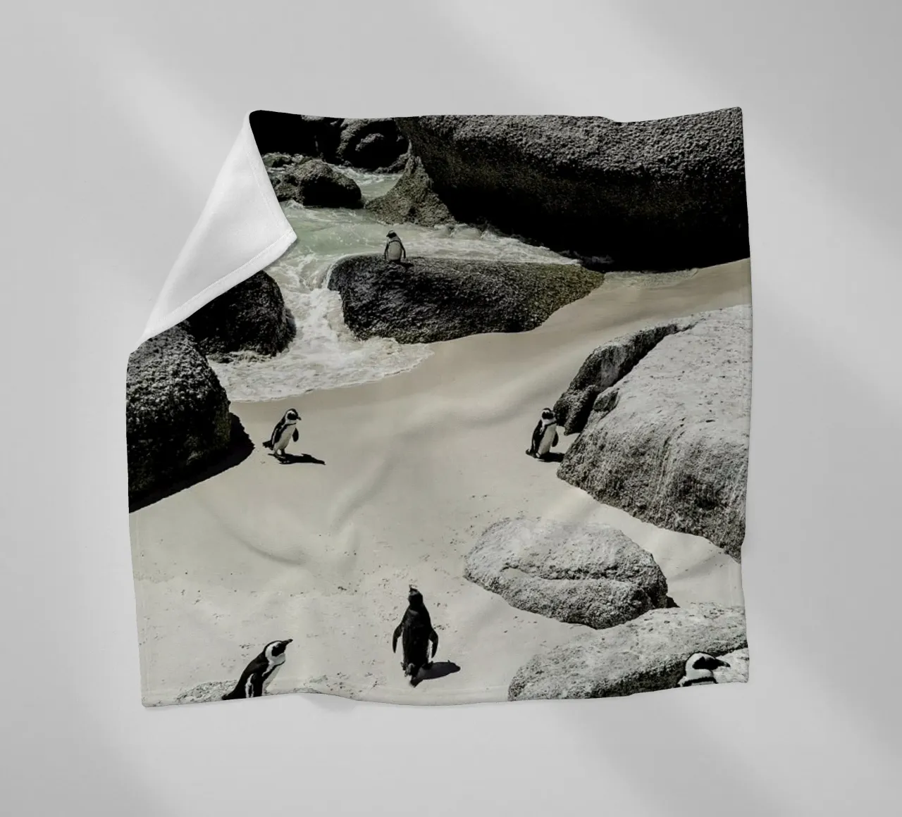 Penguins Beach coperta in pile da Shot By Clint