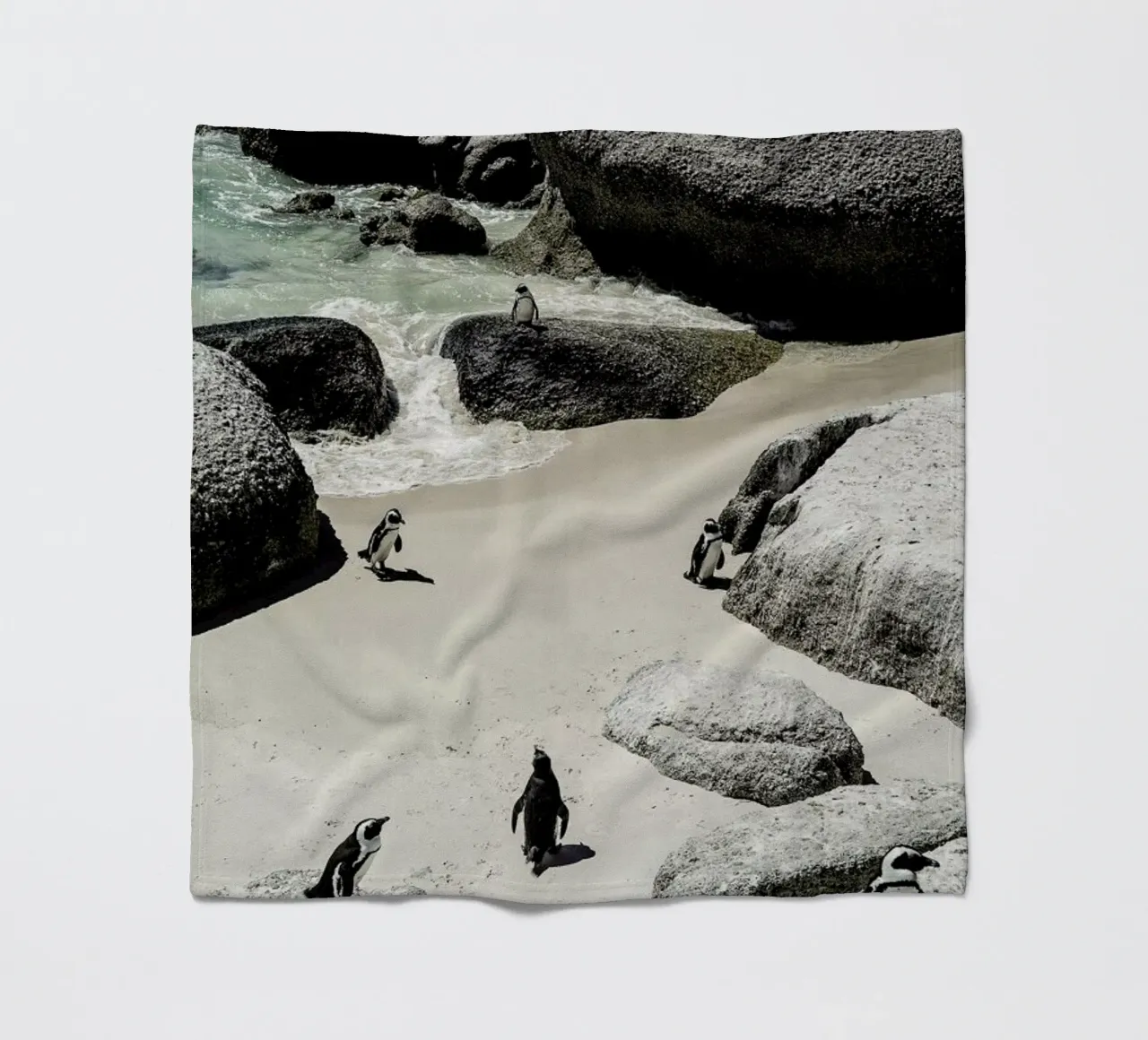 Penguins Beach coperta in pile da Shot By Clint