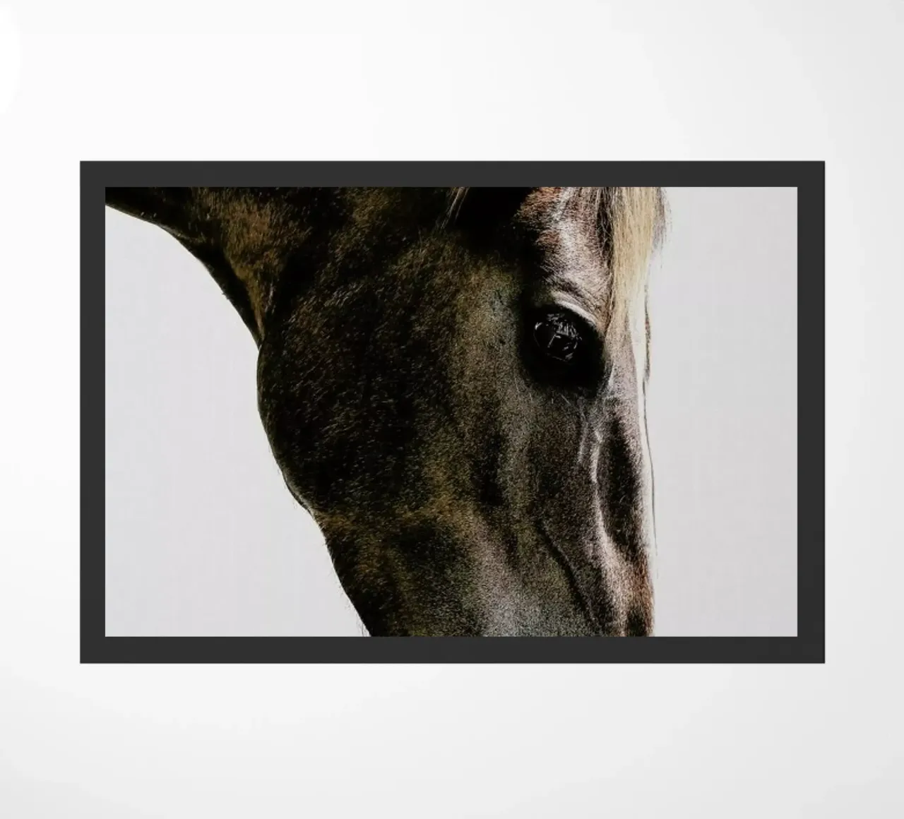 Kalimazoo zerbino da Shot By Clint