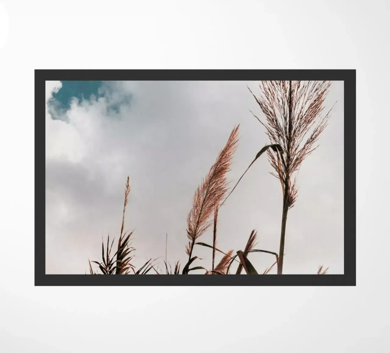 Grass I zerbino da Sebastian Hilgetag