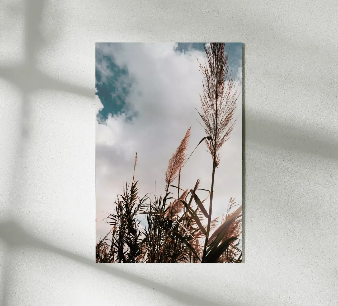 Grass I plexiglass da Sebastian Hilgetag