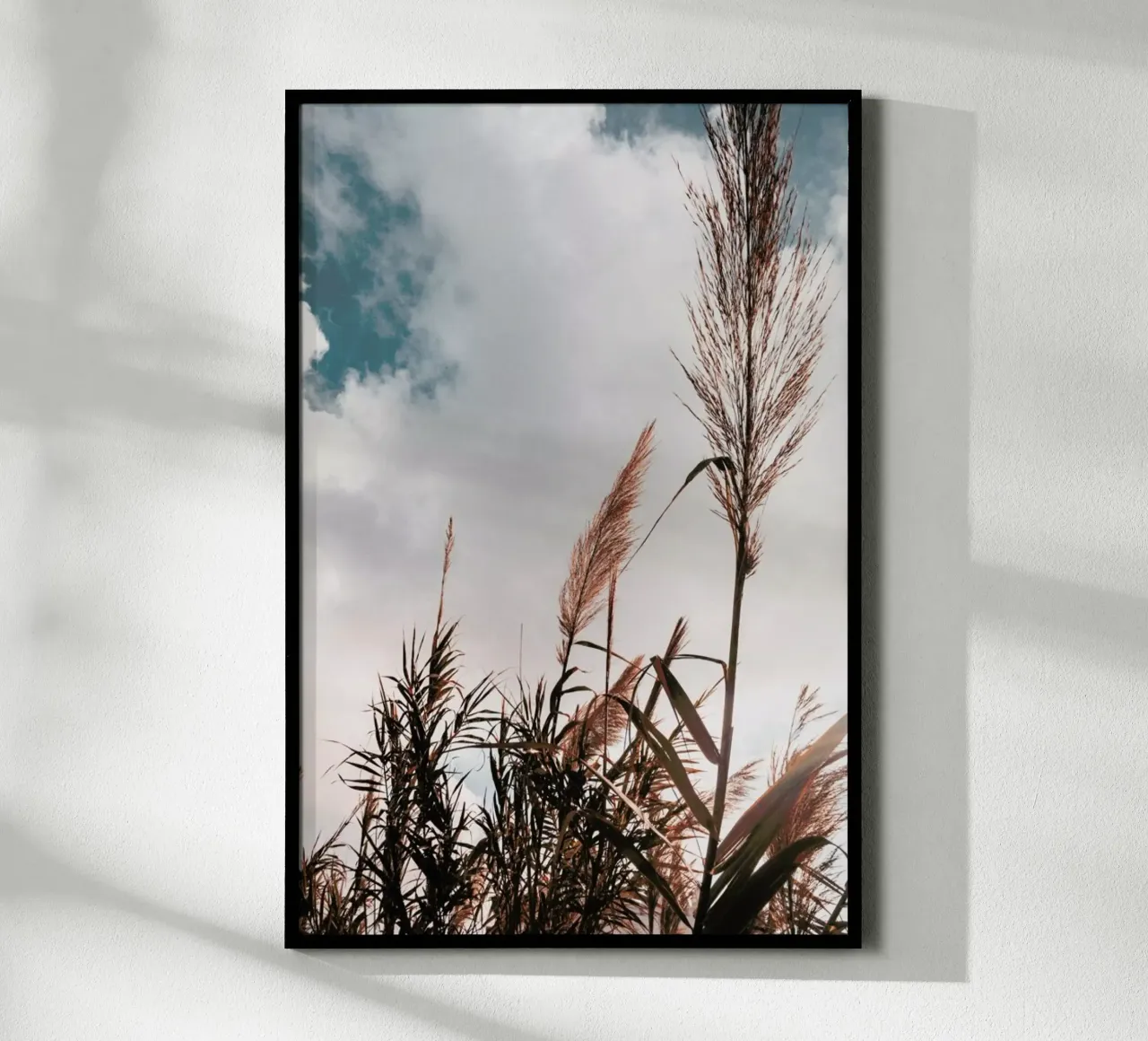 Grass I carta hahnemühle da Sebastian Hilgetag