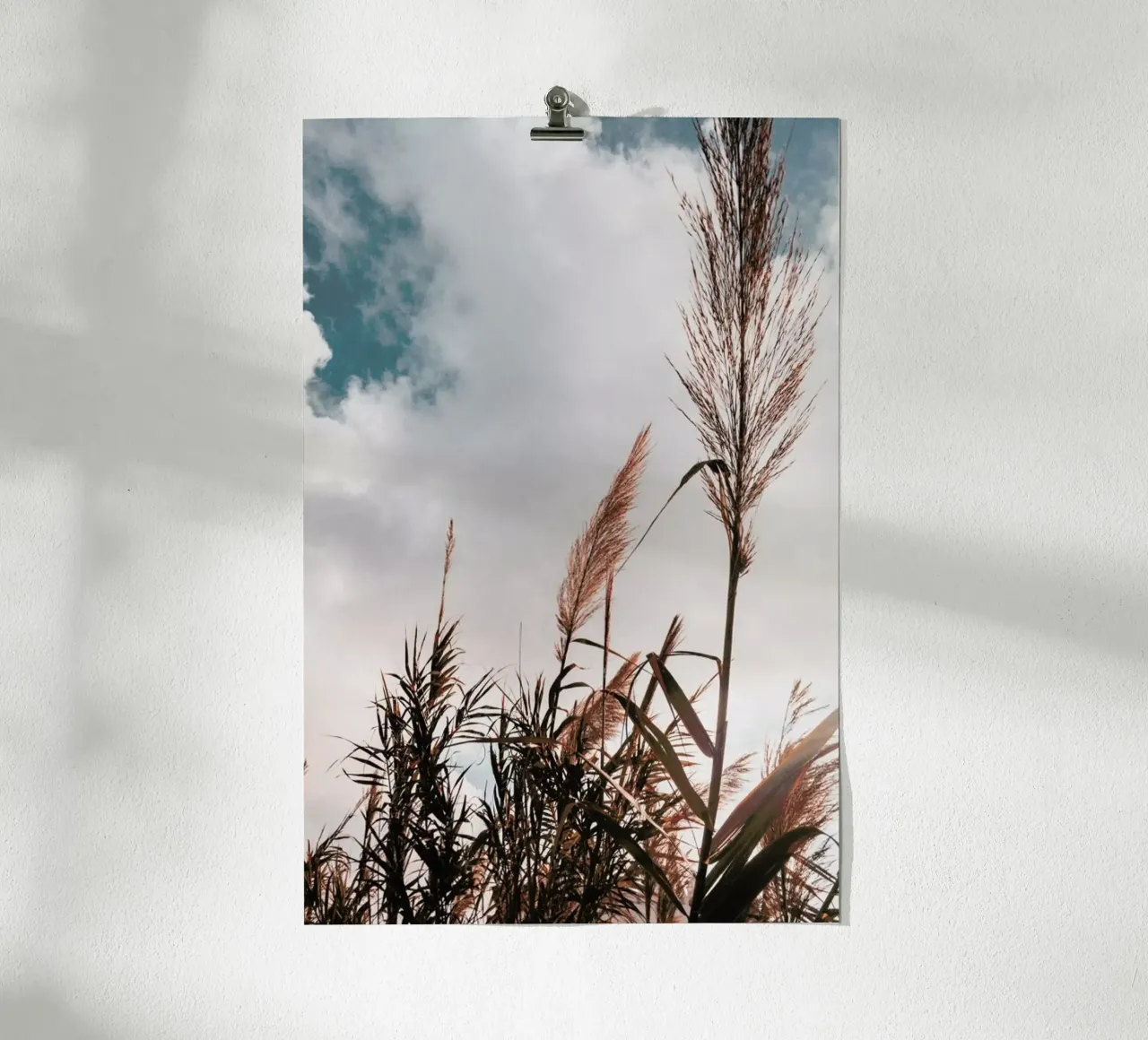 Grass I carta hahnemühle da Sebastian Hilgetag