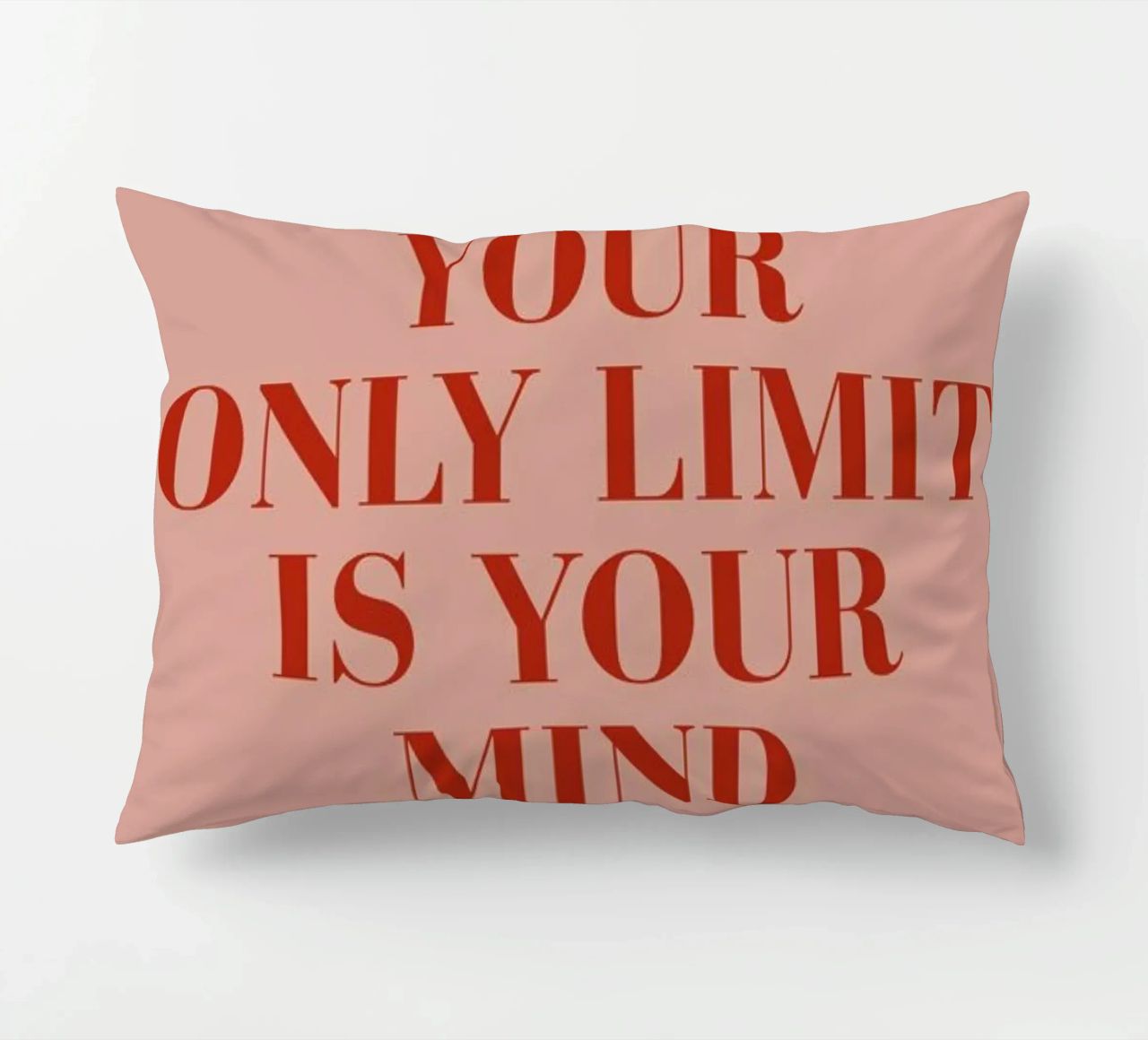 Your Only Limit decorative cushion by daylight design studio