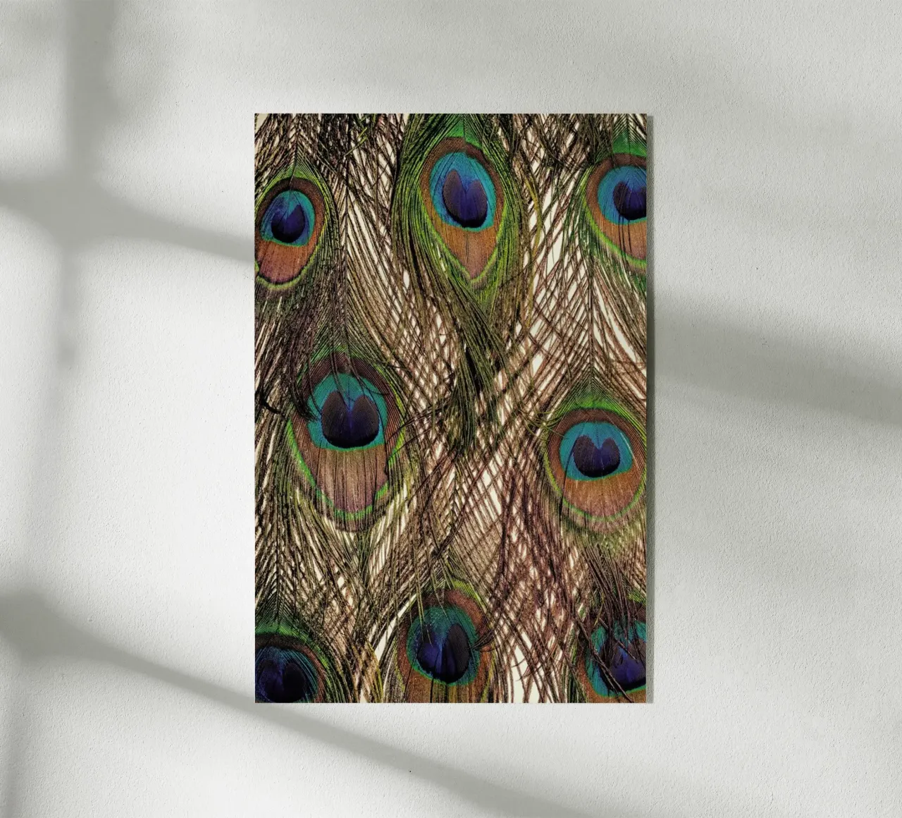 Peacock acrylic glass by Curious Collections by Marielle Leenders