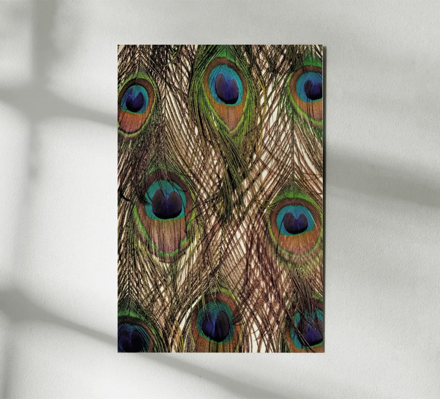 Peacock pannello forex da Curious Collections by Marielle Leenders