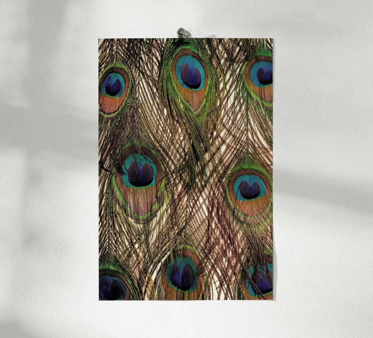 Peacock poster van Curious Collections by Marielle Leenders