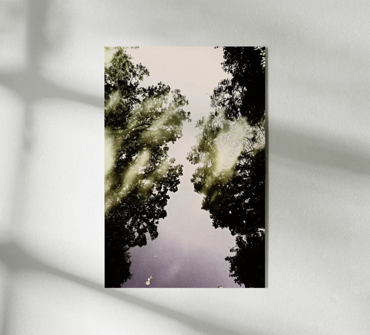 Tiergarten 3 plexiglass da Angelo Cerantola