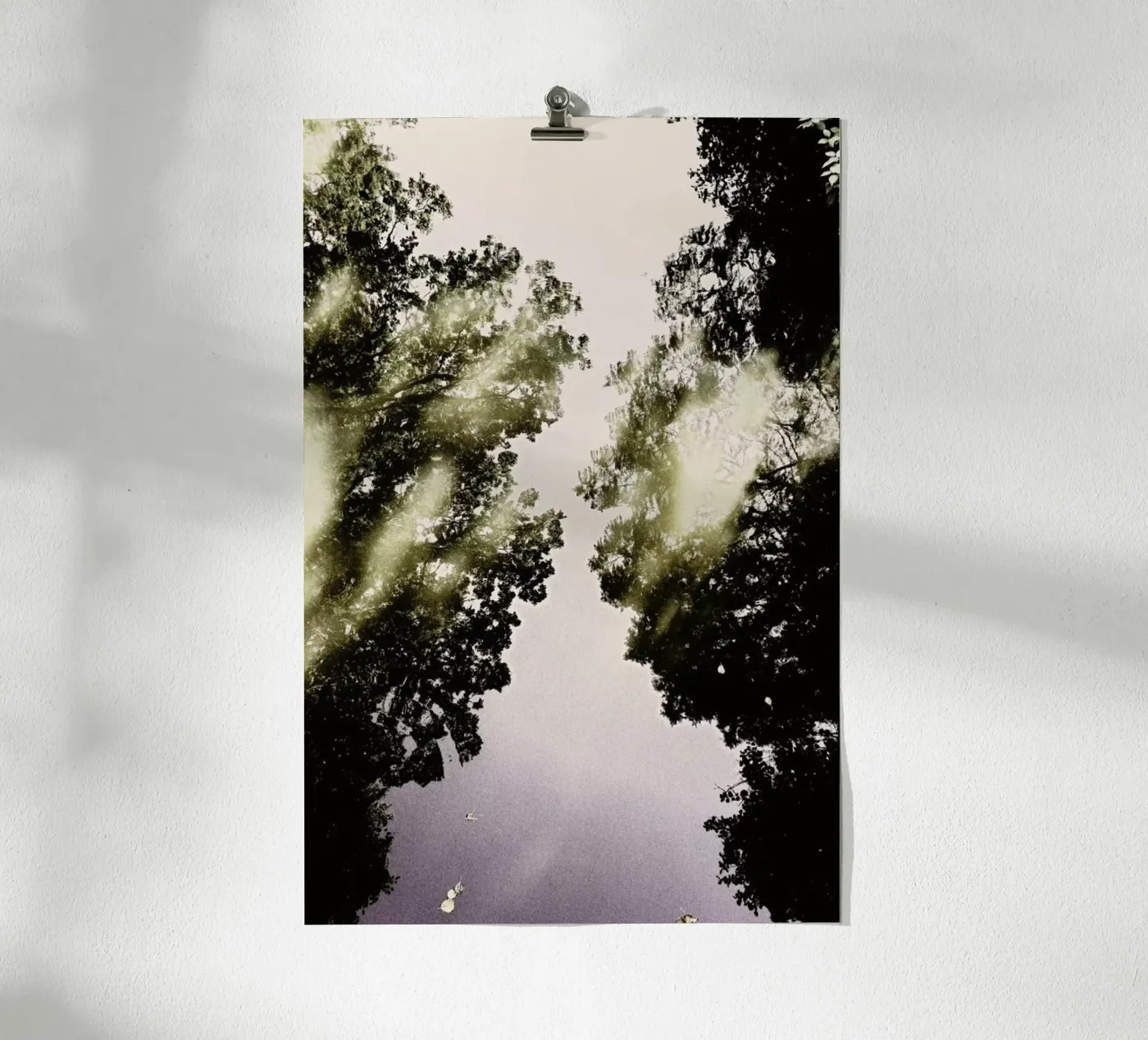 Tiergarten 3 poster da Angelo Cerantola