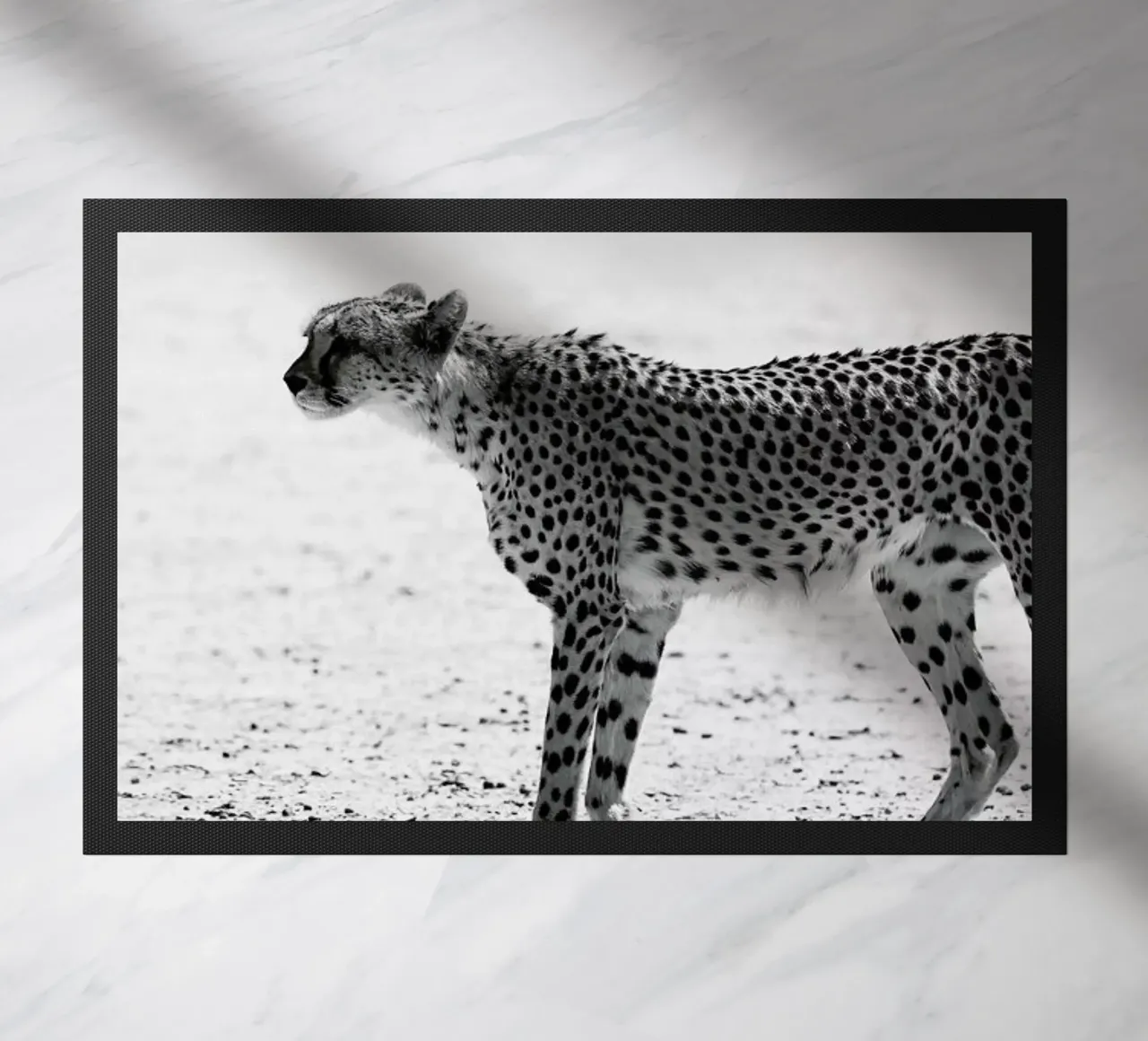 Kitty Kat 01 doormat by Shot By Clint