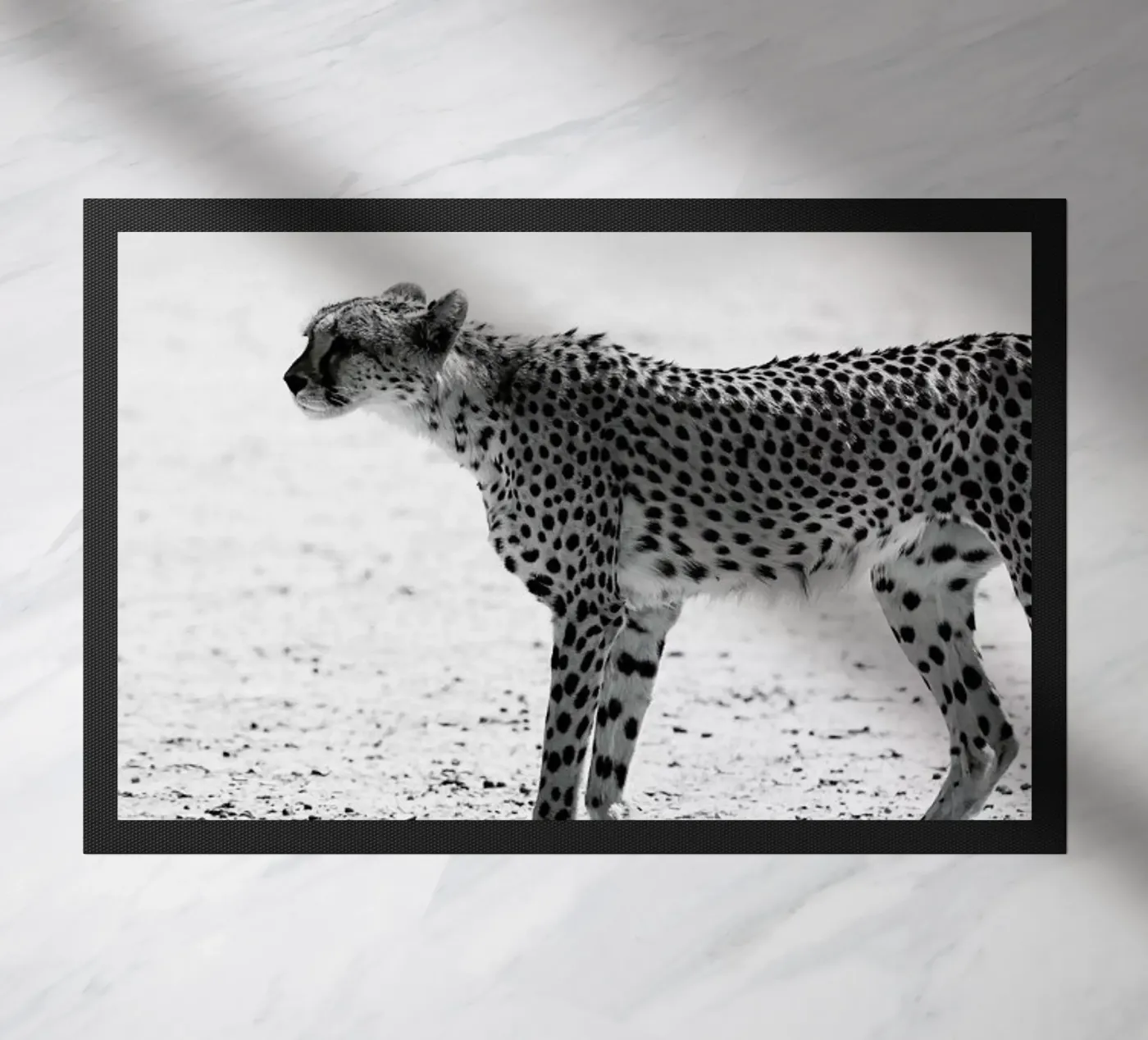 Kitty Kat 01 zerbino da Shot By Clint