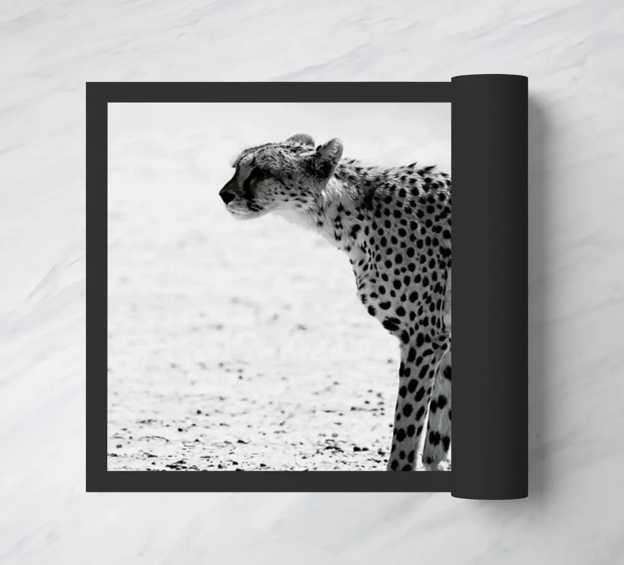 Kitty Kat 01 doormat by Shot By Clint