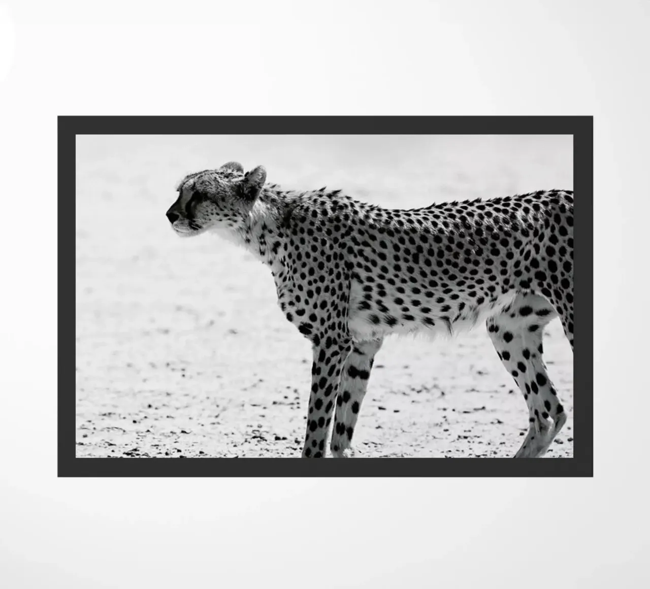 Kitty Kat 01 doormat by Shot By Clint