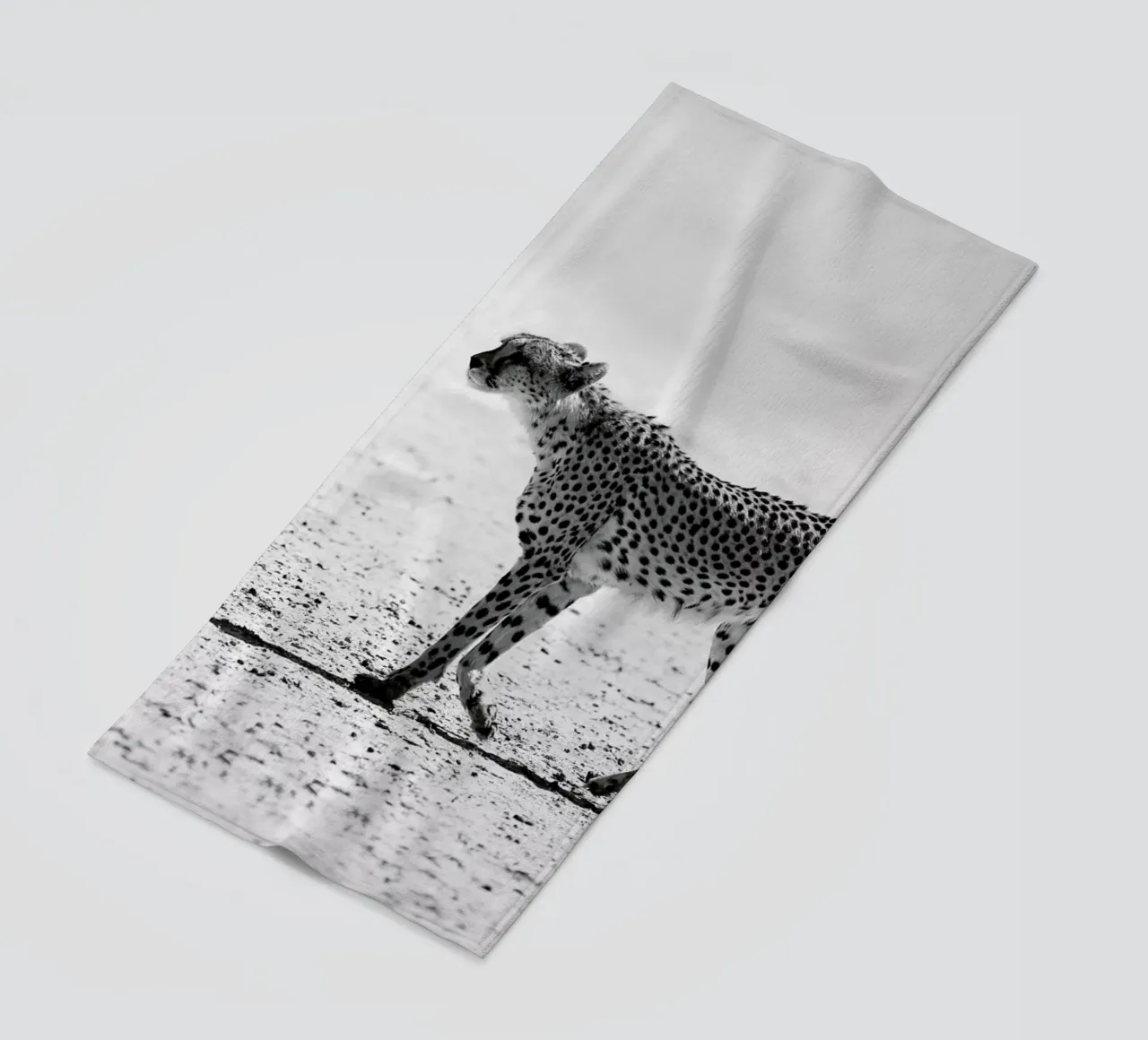 Kitty Kat 01 telo mare da Shot By Clint