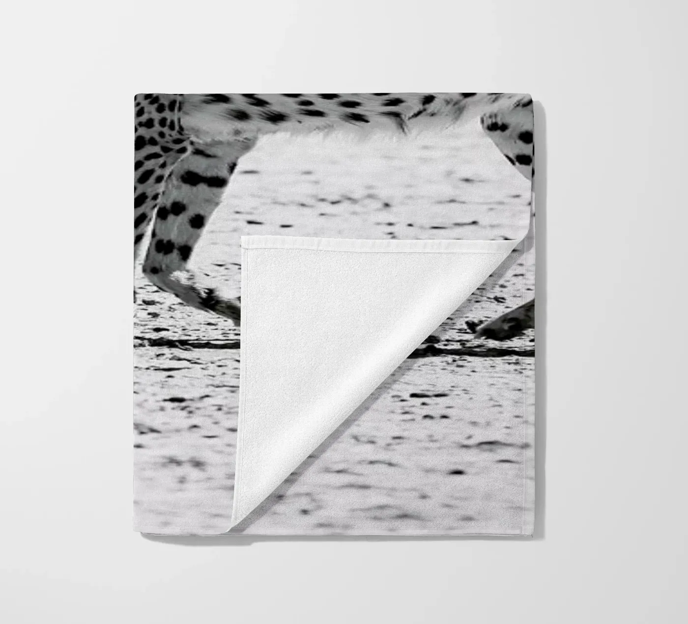 Kitty Kat 01 telo mare da Shot By Clint