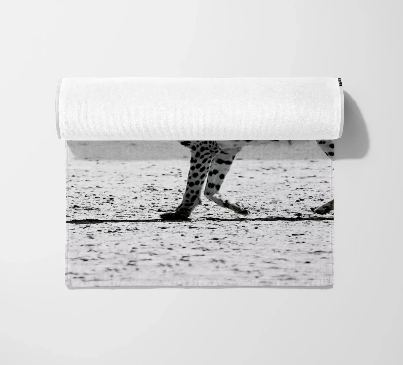 Kitty Kat 01 telo mare da Shot By Clint