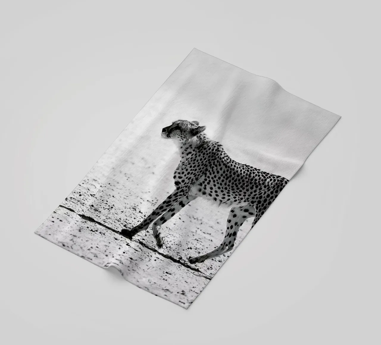 Kitty Kat 01 telo mare da Shot By Clint