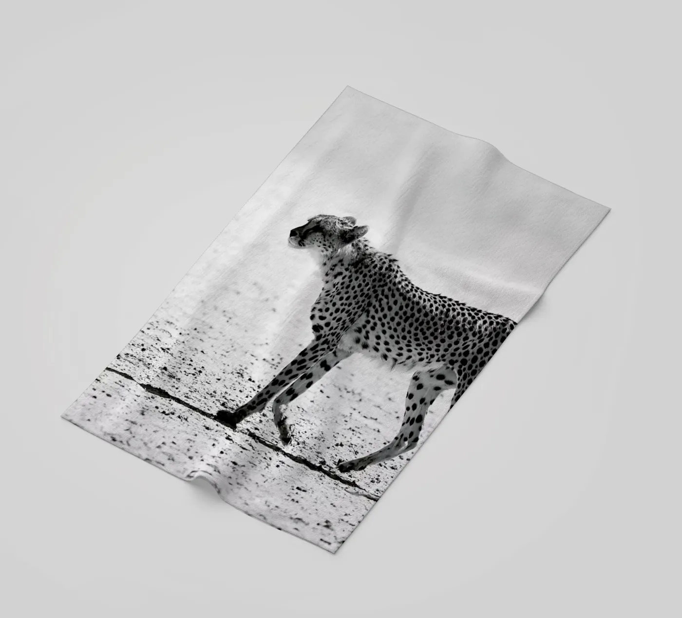 Kitty Kat 01 telo mare da Shot By Clint