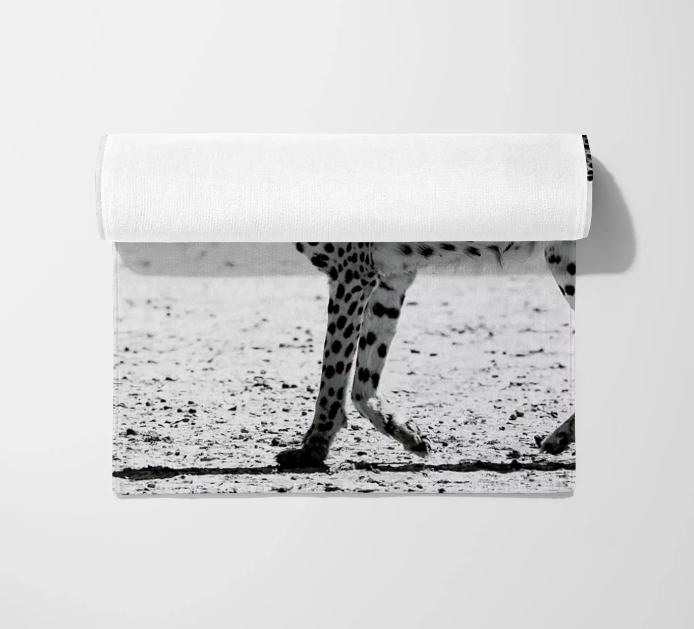 Kitty Kat 01 telo mare da Shot By Clint